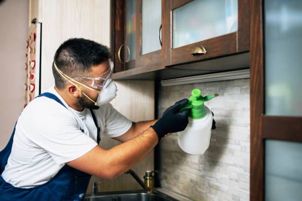 Best Flea Control Services  in East Milton, FL