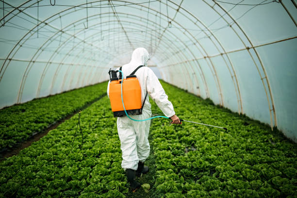 Best Mosquito Control Services  in East Milton, FL