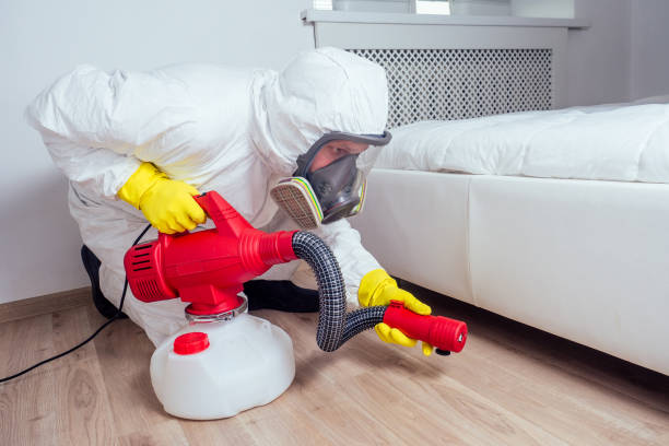 Best Insect Control  in East Milton, FL