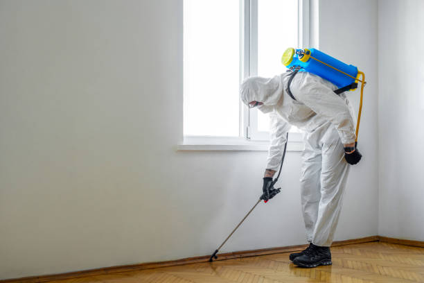 Best Wildlife Control Services  in East Milton, FL