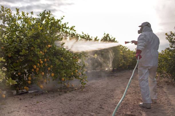 Best Residential Pest Control  in East Milton, FL