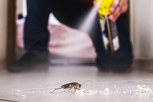 Pest Control Cost in East Milton, FL