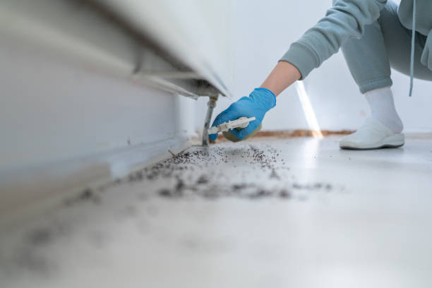 Best Pest Control for Restaurants  in East Milton, FL